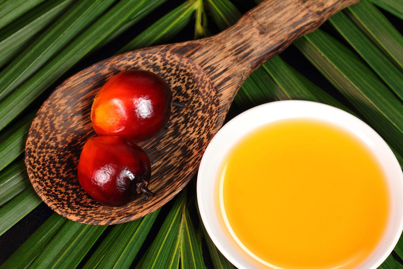 Palm fruits and palm oil
